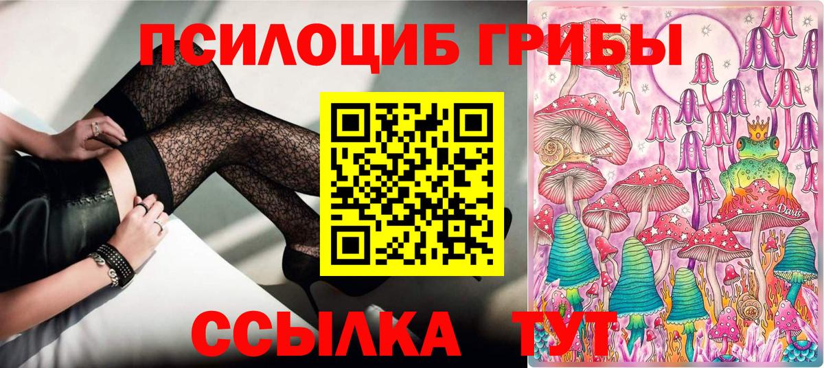Ейск  Псилоцибиновые грибы мухоморы  как найти закладки  Вход с VPN  Псилоцибиновые грибы прущие грибы 